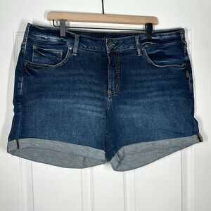 Women's Plus Size Silver Boyfriend Mid Rise Short
